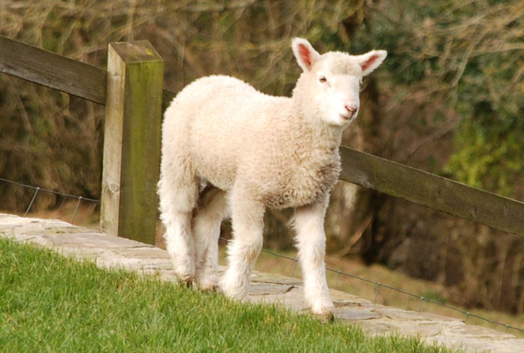 Kerswell Farmhouse Totnes Luaran gambar